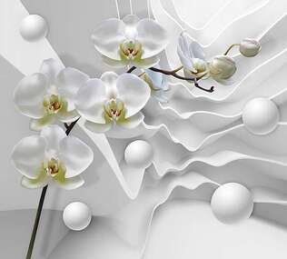 Фотопанно Divino Орхидея на обьемных волнах (P-075) оптом
